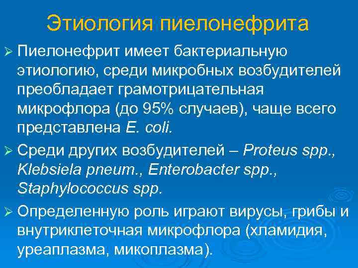 Этиология пиелонефрита Ø Пиелонефрит имеет бактериальную этиологию, среди микробных возбудителей преобладает грамотрицательная микрофлора (до