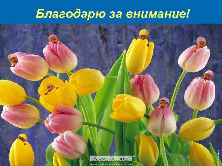 Благодарю за внимание! 