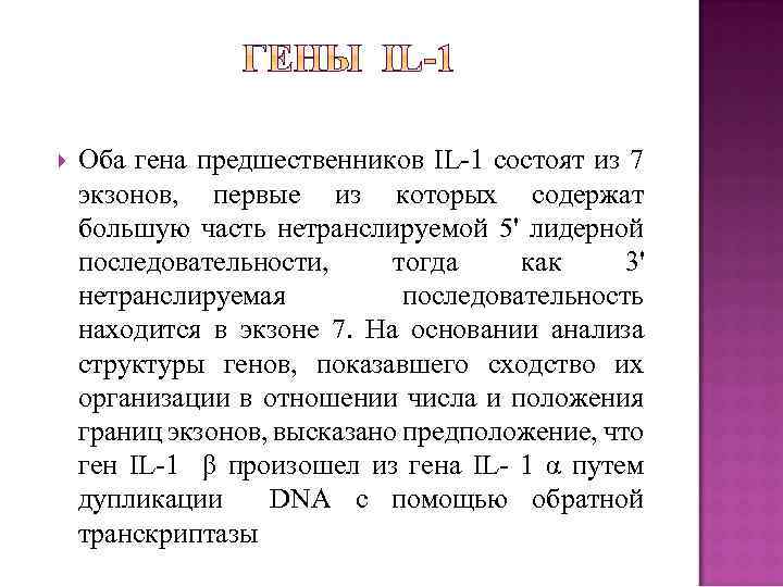  Оба гена предшественников IL 1 состоят из 7 экзонов, первые из которых содержат