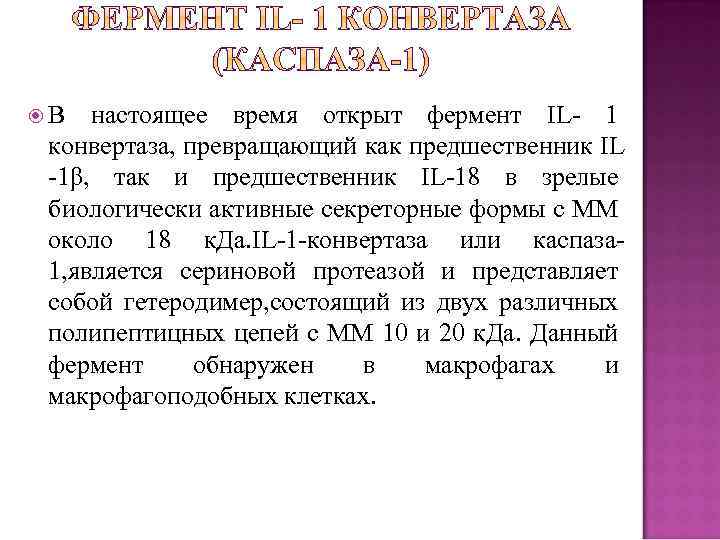  В настоящее время открыт фермент IL 1 конвертаза, превращающий как предшественник IL 1β,
