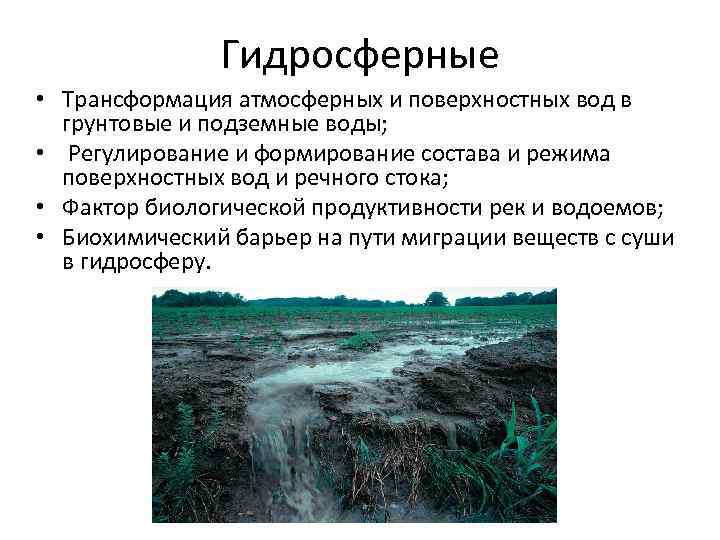 Гидросферные • Трансформация атмосферных и поверхностных вод в грунтовые и подземные воды; • Регулирование