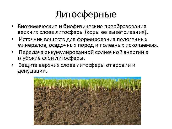 Литосферные • Биохимические и биофизические преобразования верхних слоев литосферы (коры ее выветривания). • Источник