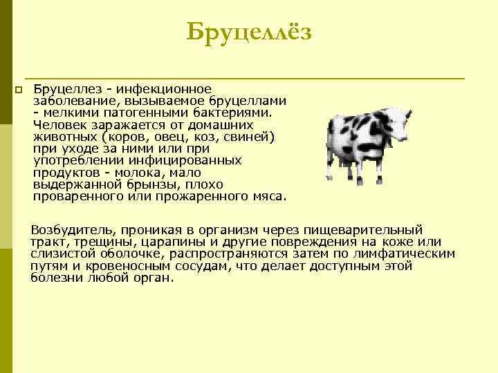 Бруцеллёз p Бруцеллез - инфекционное заболевание, вызываемое бруцеллами - мелкими патогенными бактериями. Человек заражается