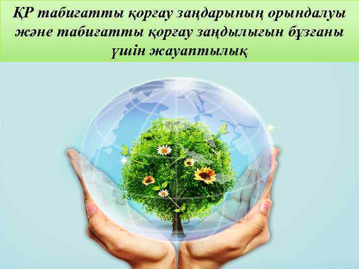 ҚР табиғатты қорғау заңдарының орындалуы және табиғатты қорғау заңдылығын бұзғаны үшін жауаптылық 