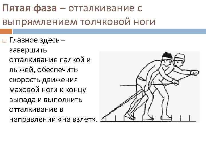 Пятая фаза – отталкивание с выпрямлением толчковой ноги Главное здесь – завершить отталкивание палкой