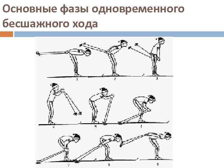 Основные фазы одновременного бесшажного хода 