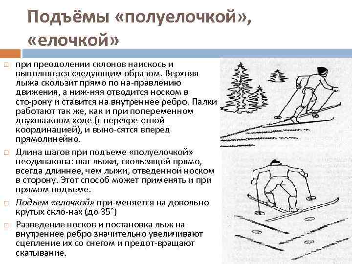 Подъёмы «полуелочкой» , «елочкой» при преодолении склонов наискось и выполняется следующим образом. Верхняя лыжа
