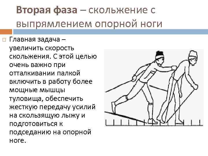 Скольжение это. Скольжение с выпрямлением опорной ноги. Фазы скольжения на лыжах. Попеременный двухшажный 5 фаза отталкивание. 2-Я фаза - скольжение с выпрямлением опорной ноги.