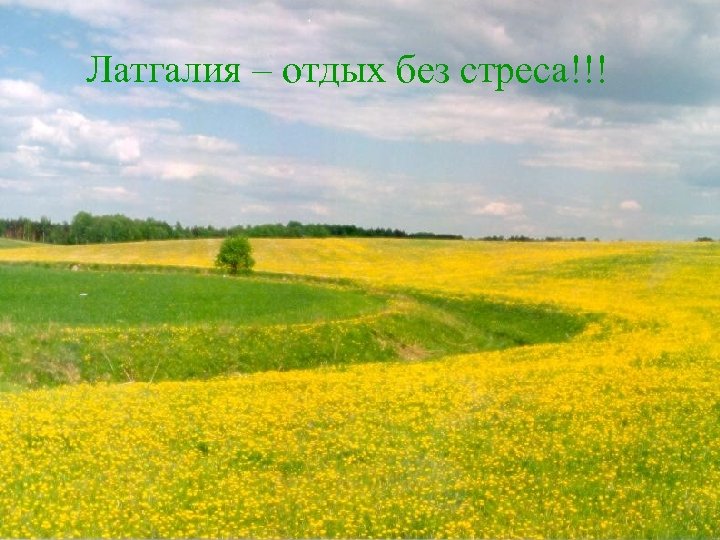 Латгалия – отдых без стреса!!! 