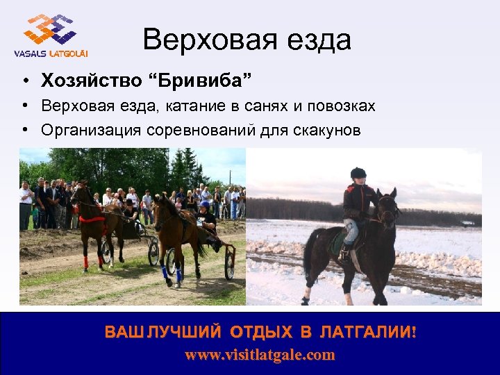Верховая езда • Хозяйство “Бривиба” • Верховая езда, катание в санях и повозках •