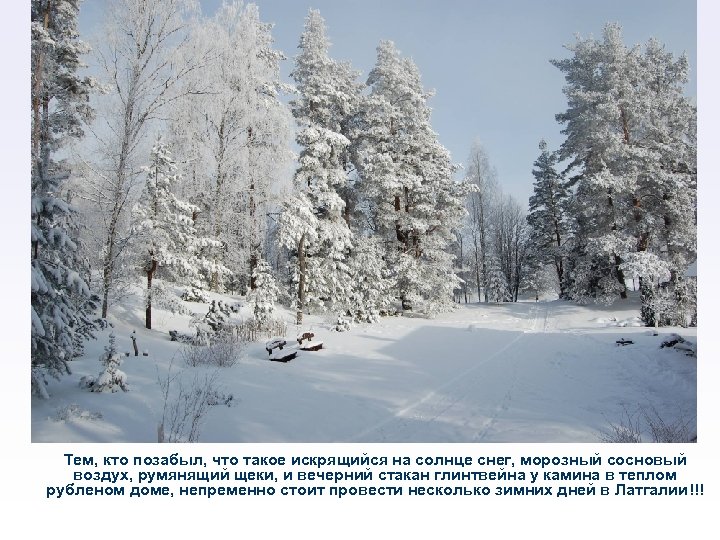 Тем, кто позабыл, что такое искрящийся на солнце снег, морозный сосновый воздух, румянящий щеки,