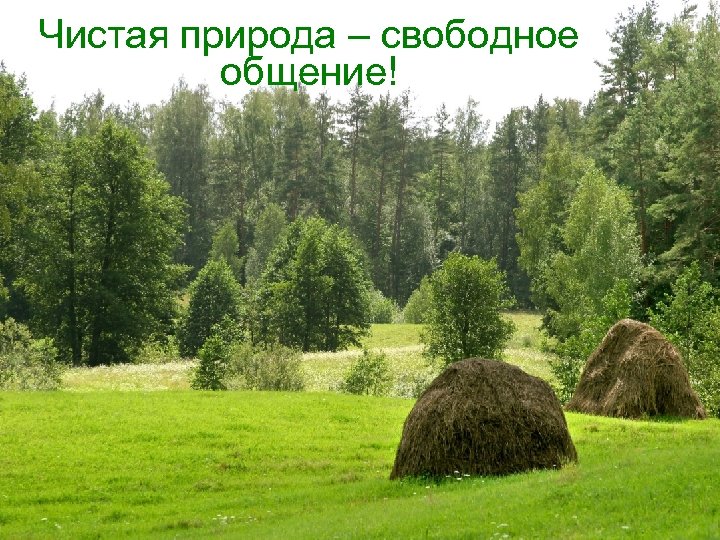 Чистая природа – свободное общение! 