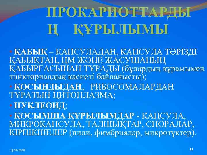 ПРОКАРИОТТАРДЫ Ң ҚҰРЫЛЫМЫ • ҚАБЫҚ – КАПСУЛАДАН, КАПСУЛА ТӘРІЗДІ ҚАБЫҚТАН, ЦМ ЖӘНЕ ЖАСУШАНЫҢ ҚАБЫРҒАСЫНАН