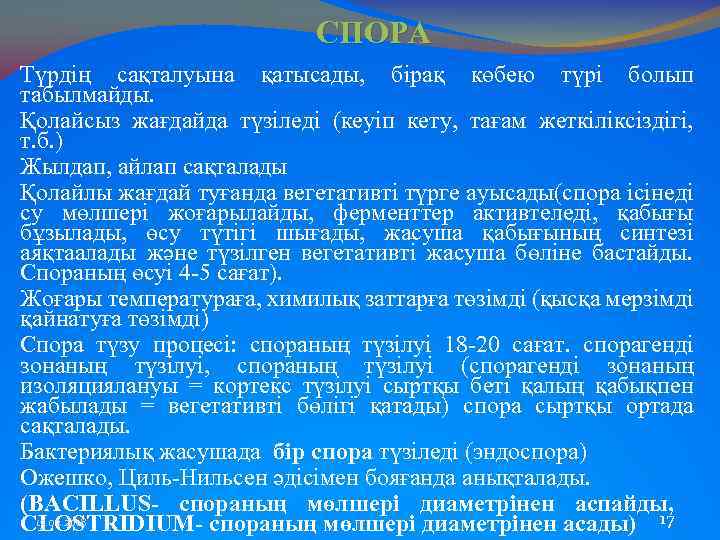 СПОРА Түрдің сақталуына қатысады, бірақ көбею түрі болып табылмайды. Қолайсыз жағдайда түзіледі (кеуіп кету,