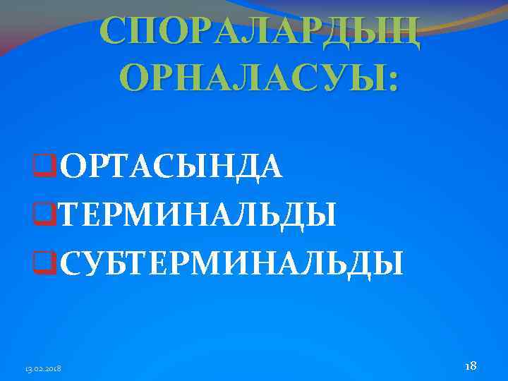 СПОРАЛАРДЫҢ ОРНАЛАСУЫ: q. ОРТАСЫНДА q. ТЕРМИНАЛЬДЫ q. CУБТЕРМИНАЛЬДЫ 13. 02. 2018 18 