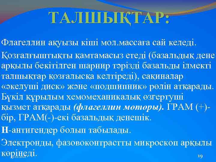 ТАЛШЫҚТАР: Флагеллин ақуызы кіші мол. массаға сай келеді. Қозғалғыштықты қамтамасыз етеді (базальдық дене арқылы