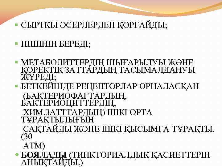 § СЫРТҚЫ ӘСЕРЛЕРДЕН ҚОРҒАЙДЫ; § ПІШІНІН БЕРЕДІ; § МЕТАБОЛИТТЕРДІҢ ШЫҒАРЫЛУЫ ЖӘНЕ ҚОРЕКТІК ЗАТТАРДЫҢ ТАСЫМАЛДАНУЫ