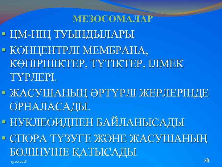 МЕЗОСОМАЛАР § ЦМ-НІҢ ТУЫНДЫЛАРЫ § КОНЦЕНТРЛІ МЕМБРАНА, КӨПІРШІКТЕР, ТҮТІКТЕР, ІЛМЕК ТҮРЛЕРІ. § ЖАСУШАНЫҢ ӘРТҮРЛІ