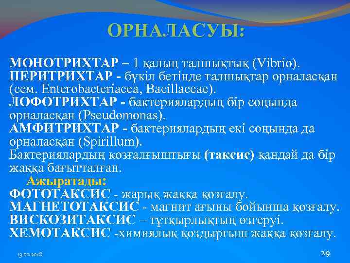 ОРНАЛАСУЫ: МОНОТРИХТАР – 1 қалың талшықтық (Vibrio). ПЕРИТРИХТАР - бүкіл бетінде талшықтар орналасқан (сем.