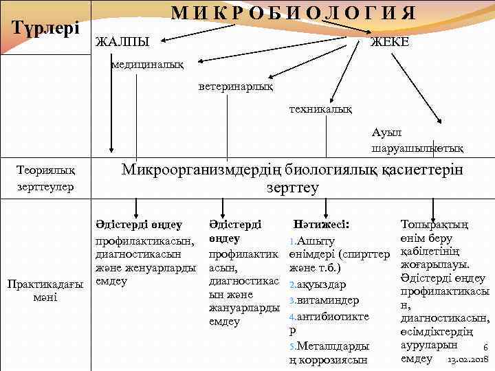 Түрлері МИКРОБИОЛОГИЯ ЖАЛПЫ ЖЕКЕ медициналық ветеринарлық техникалық Ауыл шаруашылыөтық Теориялық зерттеулер Практикадағы мәні Микроорганизмдердің