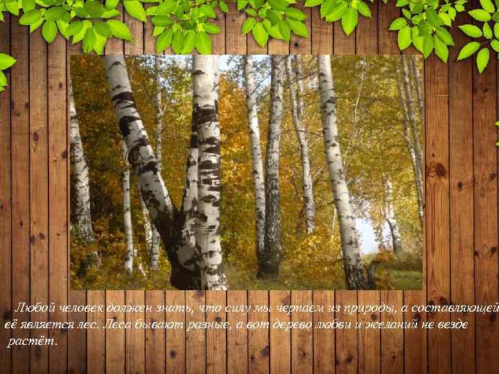 Любой человек должен знать, что силу мы черпаем из природы, а составляющей её является