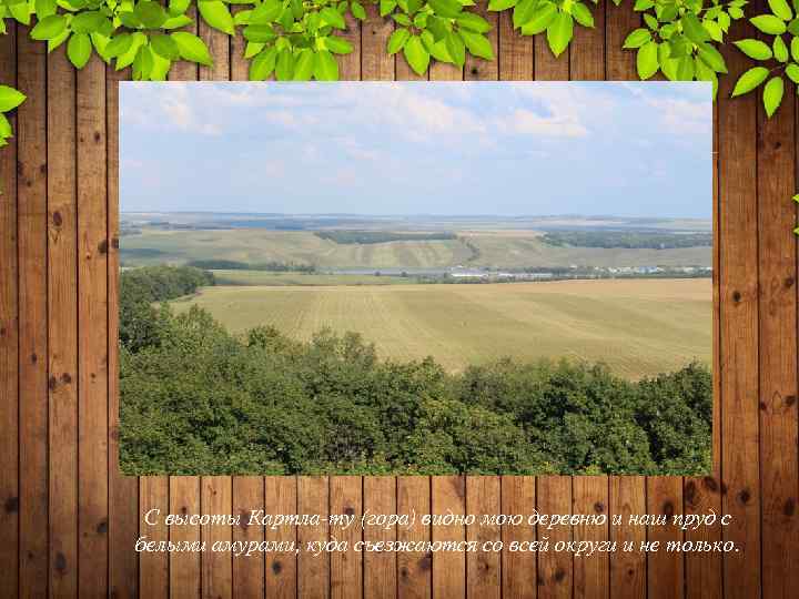 С высоты Картла-ту (гора) видно мою деревню и наш пруд с белыми амурами, куда