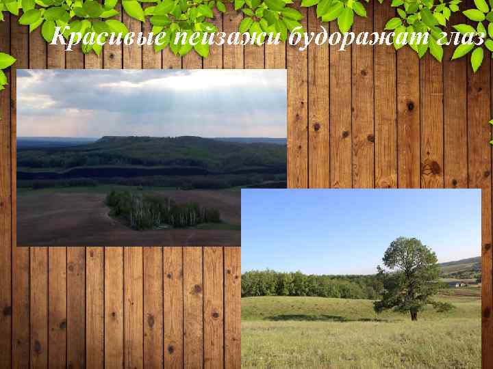 Красивые пейзажи будоражат глаз 13 