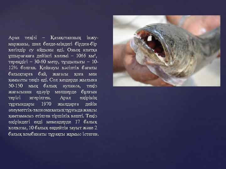 Арал теңізі – Қазақстанның інжумаржаны, шөл белде-міндегі бірден-бір көгілдір су айдыны еді. Оның апатқа