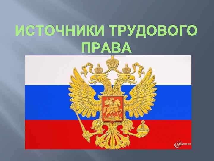 Понятие и источники трудового права презентация 11 класс право