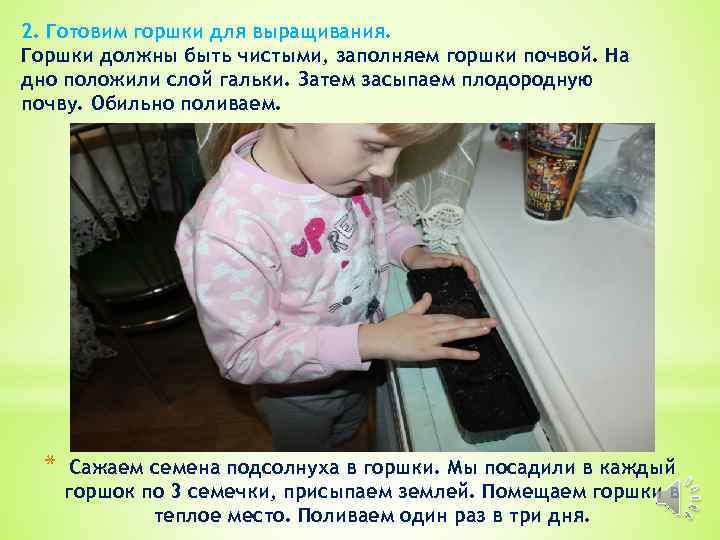 2. Готовим горшки для выращивания. Горшки должны быть чистыми, заполняем горшки почвой. На дно