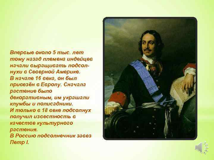Впервые около 5 тыс. лет тому назад племена индейцев начали выращивать подсолнухи в Северной