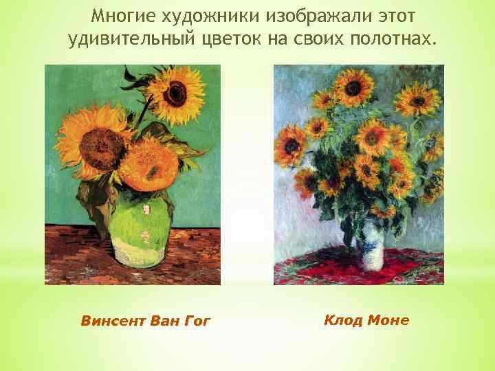 Многие художники изображали этот удивительный цветок на своих полотнах. Винсент Ван Гог Клод Моне