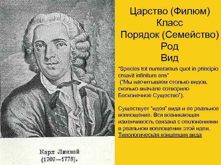 Царство (Филюм) Класс Порядок (Семейство) Род Вид “Species tot numeramus quot in principio creavit