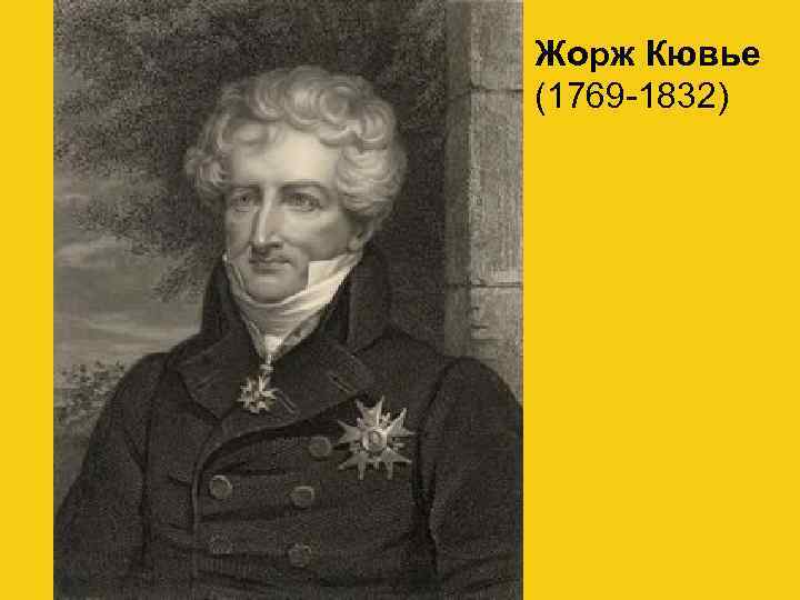 Жорж Кювье (1769 -1832) 