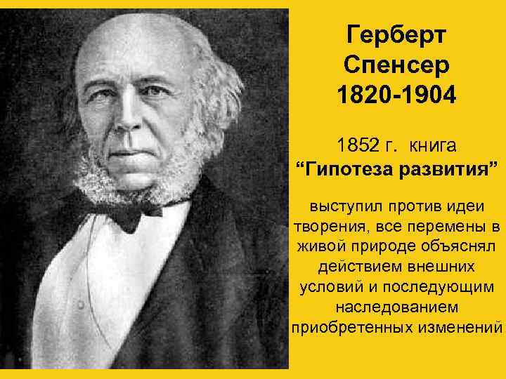 Герберт Спенсер 1820 -1904 1852 г. книга “Гипотеза развития” выступил против идеи творения, все