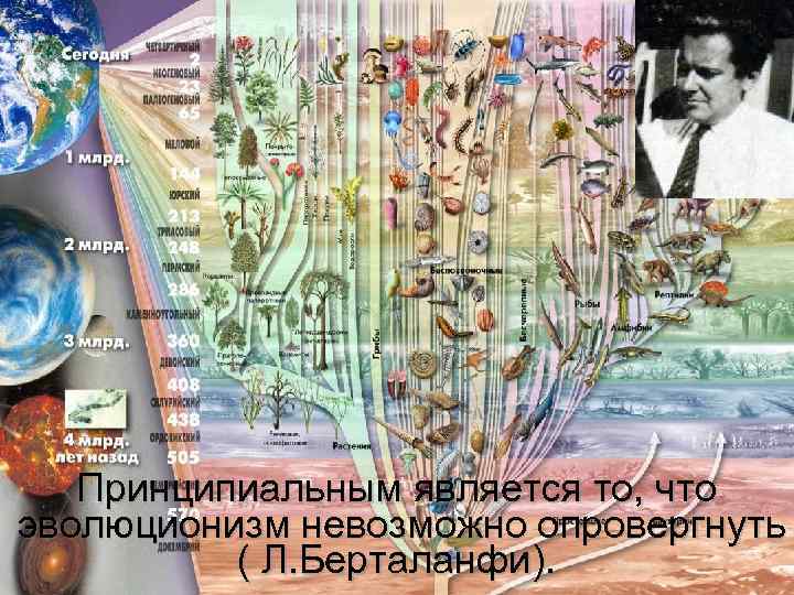 Принципиальным является то, что эволюционизм невозможно опровергнуть ( Л. Берталанфи). 