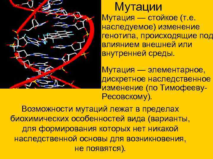 Мутации Мутация — стойкое (т. е. наследуемое) изменение генотипа, происходящие под влиянием внешней или
