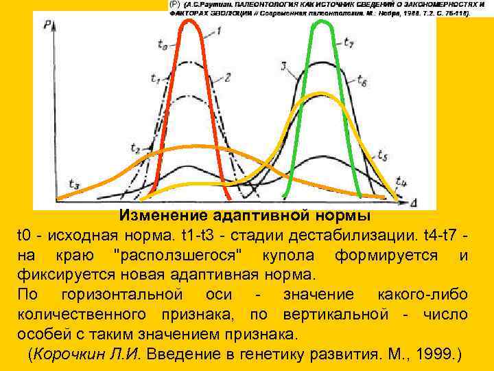 Изменение адаптивной нормы t 0 - исходная норма. t 1 -t 3 - стадии