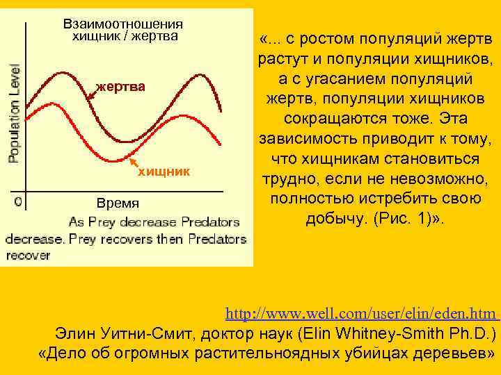 Взаимоотношения хищник / жертва хищник Время «. . . с ростом популяций жертв растут