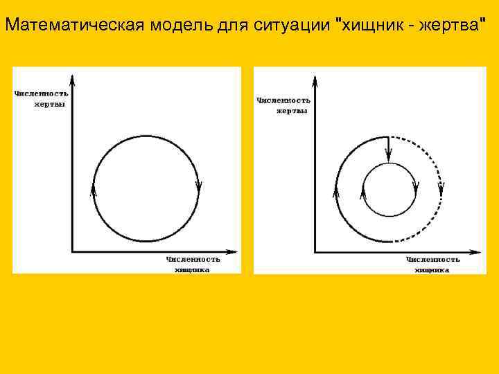 Математическая модель для ситуации 