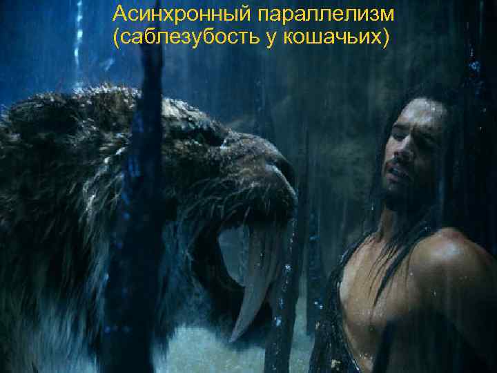 Асинхронный параллелизм (саблезубость у кошачьих) 