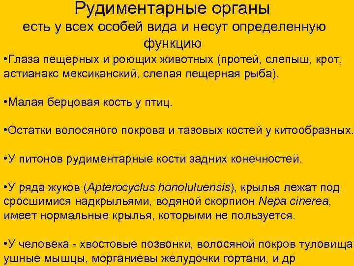 Рудиментарные органы есть у всех особей вида и несут определенную функцию • Глаза пещерных