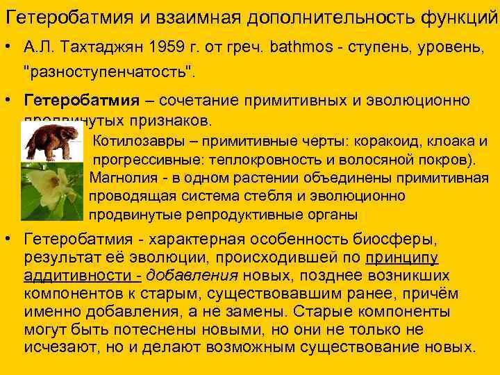 Гетеробатмия и взаимная дополнительность функций • А. Л. Тахтаджян 1959 г. от греч. bathmos