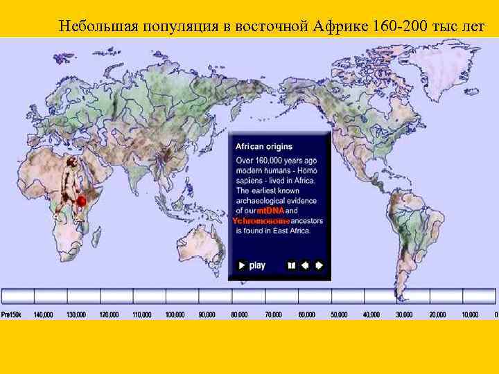 Небольшая популяция в восточной Африке 160 -200 тыс лет mt. DNA Ychromosome 