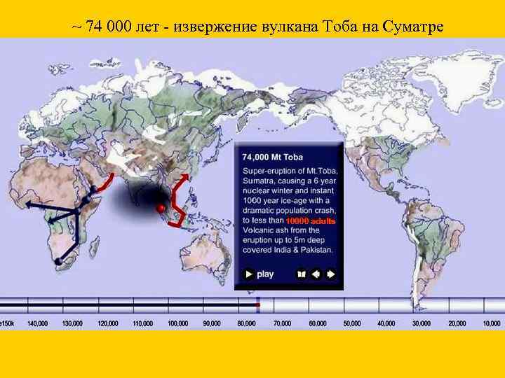 ~ 74 000 лет - извержение вулкана Тоба на Суматре 10000 adults 