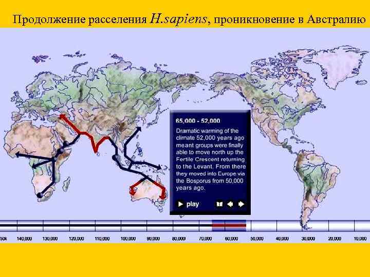 Продолжение расселения H. sapiens, проникновение в Австралию 