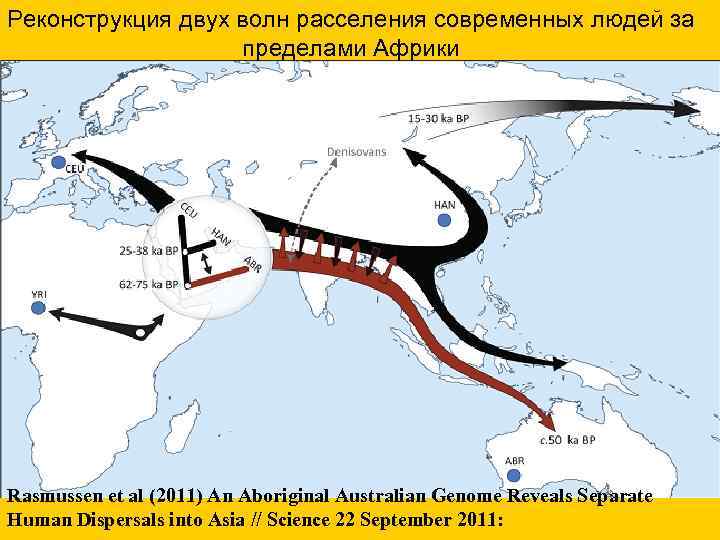 Реконструкция двух волн расселения современных людей за пределами Африки Rasmussen et al (2011) An