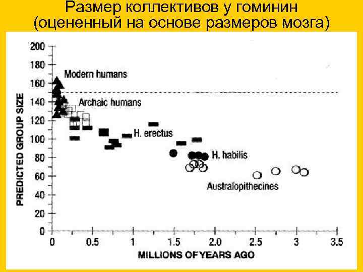 Размер коллективов у гоминин (оцененный на основе размеров мозга) 