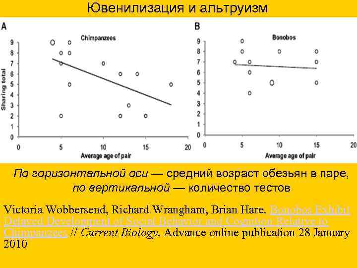Ювенилизация и альтруизм По горизонтальной оси — средний возраст обезьян в паре, по вертикальной