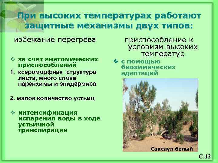 При высоких температурах работают защитные механизмы двух типов: избежание перегрева v за счет анатомических